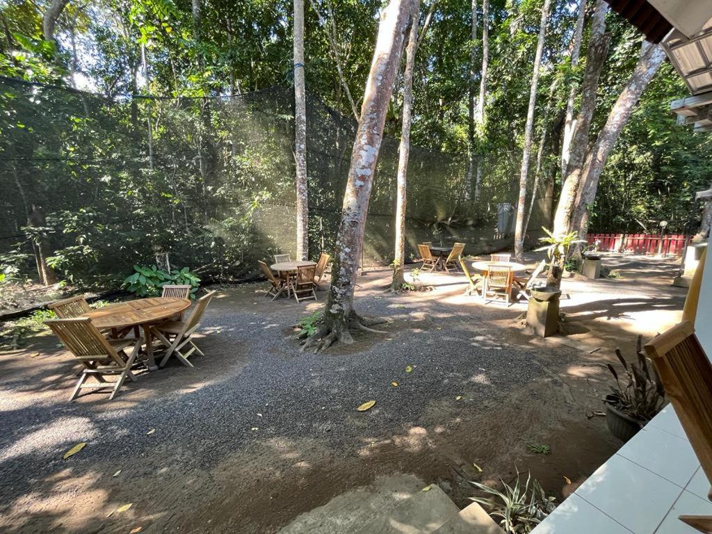 Capital O 92612 Penginapan D'Alas Purwo & Beachnearpadang Savana Sadengan Banyuwangi  Ngoại thất bức ảnh